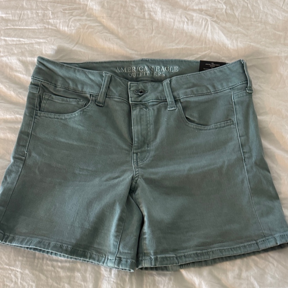 American Eagle Outfitters Women's Teal Jean Shorts